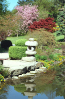Teich im Feng-Shui - Garten Teich im Feng-Shui - Garten